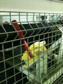 Détecteurs de déport de bande